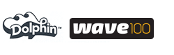 Dolphin wave100